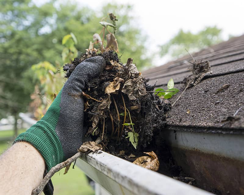 Gutter Cleaning Image